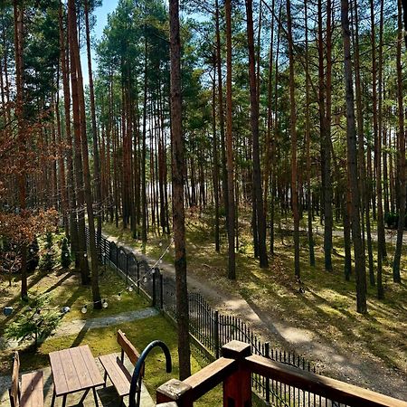 Domek W Lesie Nad Zalewem Chancza Ngoại thất bức ảnh